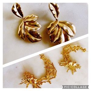 2 Sets Biological Motif Earrings